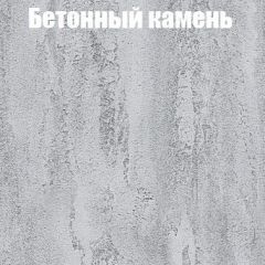 Шкаф-купе Бассо 1.0 (Дуб Крафт серый/Бетонный камень) 2 двери ЛДСП 2 зеркальные вставки в Ишиме - ishim.mebel24.online | фото 3