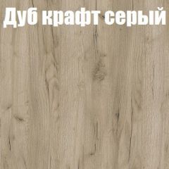 Шкаф-купе Бассо 1.0 (Дуб Крафт серый/Бетонный камень) 2 двери ЛДСП 2 зеркальные вставки в Ишиме - ishim.mebel24.online | фото 4