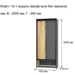 ОЛЬГА-ЛОФТ 10.1 Шкаф-купе без зеркала в Ишиме - ishim.mebel24.online | фото 3