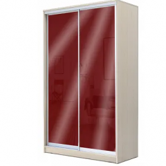 Шкаф-купе ХИТ 22-4-12/2-22 (420) в Ишиме - ishim.mebel24.online | фото 9