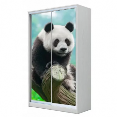 Шкаф-купе ХИТ 22-4-12-77 (420) в Ишиме - ishim.mebel24.online | фото 5