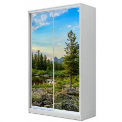 Шкаф-купе ХИТ 22-4-17-77 (420) в Ишиме - ishim.mebel24.online | фото 2
