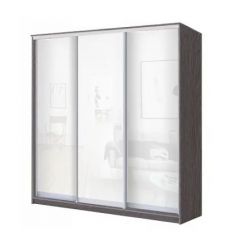 Шкаф-купе ХИТ 22-4-18/2-888 (420) в Ишиме - ishim.mebel24.online | фото 9