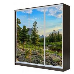 Шкаф-купе ХИТ 23-4-18-777 (420) в Ишиме - ishim.mebel24.online | фото 1