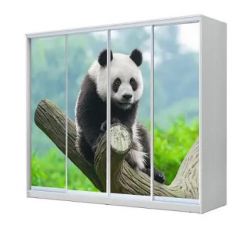 Шкаф-купе ХИТ 23-4-24/2-7777 (420) в Ишиме - ishim.mebel24.online | фото 1