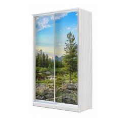 Шкаф-купе ХИТ 24-4-12-77 (420) в Ишиме - ishim.mebel24.online | фото
