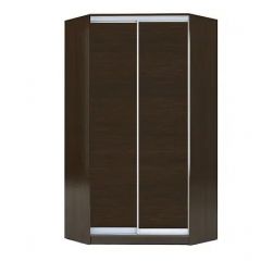 Шкаф-купе ХИТ-У-L-23-64-11 в Ишиме - ishim.mebel24.online | фото 1