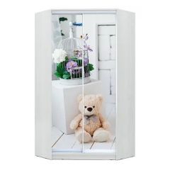Шкаф-купе ХИТ-У-L-24-64-77 в Ишиме - ishim.mebel24.online | фото