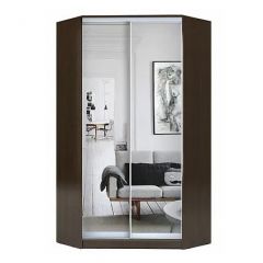 Шкаф-купе ХИТ-У-R-22-64-55 в Ишиме - ishim.mebel24.online | фото