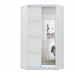 Шкаф-купе ХИТ-У-R-24-64-15 в Ишиме - ishim.mebel24.online | фото