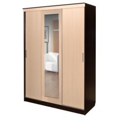 Шкаф-купе ПШ-1.3 М 1630 в Ишиме - ishim.mebel24.online | фото