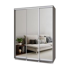 РОЛАНД Шкаф-купе с зеркалами Анкор темный (450*1700)  Р473 в Ишиме - ishim.mebel24.online | фото