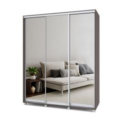 РОЛАНД Шкаф-купе с зеркалами Анкор темный (450*1800) Р483 в Ишиме - ishim.mebel24.online | фото