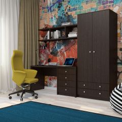 Шкаф Нина (М6) Венге в Ишиме - ishim.mebel24.online | фото