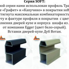 Шкаф-купе 1400 серии SOFT D1+D3+B2+PL1 (2 ящика+1штанга) профиль «Графит» в Ишиме - ishim.mebel24.online | фото 5