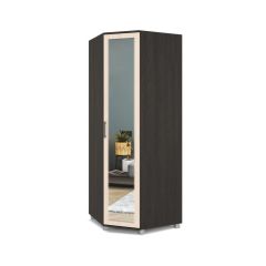 ЕВА Шкаф угловой Е58 в Ишиме - ishim.mebel24.online | фото 3