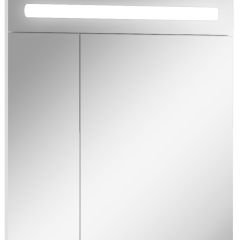 Шкаф-зеркало Аврора 65 с подсветкой LED Домино (DV8006HZ) в Ишиме - ishim.mebel24.online | фото 1