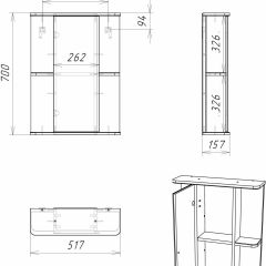 Шкаф-зеркало Норма 2-50 левый АЙСБЕРГ (DA1607HZ) в Ишиме - ishim.mebel24.online | фото 10