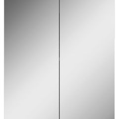 Шкаф-зеркало Норма 50 2 двери АЙСБЕРГ (DA1636HZ) в Ишиме - ishim.mebel24.online | фото 4