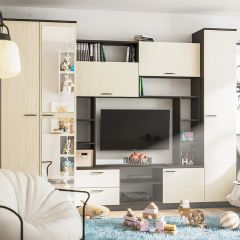 Стенка Марта 11 (Венге/Беленый дуб) в Ишиме - ishim.mebel24.online | фото