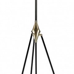 Светильник на штанге Lightstar Modena 816047 в Ишиме - ishim.mebel24.online | фото