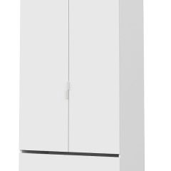 Токио Шкаф двухстворчатый с двумя ящиками в Ишиме - ishim.mebel24.online | фото