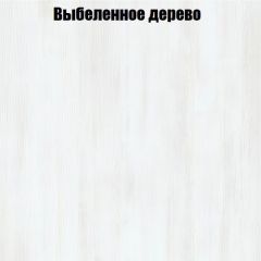 Вешалка V3 в Ишиме - ishim.mebel24.online | фото 4