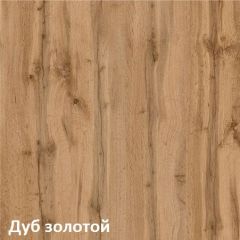 Вуди Шкаф для одежды 13.138 в Ишиме - ishim.mebel24.online | фото 4