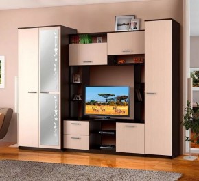 АЛЕКСАНДРА 10 Стенка в Ишиме - ishim.mebel24.online | фото 2