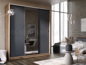 АЛЬЯНС Шкаф-купе 1,5 в Ишиме - ishim.mebel24.online | фото