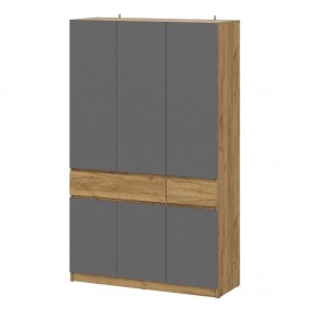 АВИНЬОН Прихожая Шкаф 3-х створчатый с ящиками в Ишиме - ishim.mebel24.online | фото
