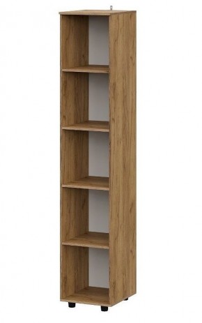 БАЙКАЛ Пенал (Графит/Дуб золотой) в Ишиме - ishim.mebel24.online | фото 2