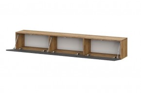 БАЙКАЛ Тумба (Графит/Дуб золотой) в Ишиме - ishim.mebel24.online | фото 2