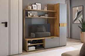 БЕРИ К1 Гостиная в Ишиме - ishim.mebel24.online | фото 2