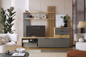 БЕРИ К3 Гостиная в Ишиме - ishim.mebel24.online | фото 2