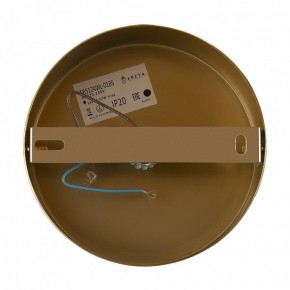 Бра Freya Zelda FR5124WL-01BS в Ишиме - ishim.mebel24.online | фото 6