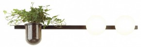 Бра Odeon Light Flower 4681/2W в Ишиме - ishim.mebel24.online | фото 3
