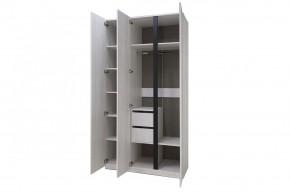 ДЕЛИ 3 Шкаф 3-х створчатый в Ишиме - ishim.mebel24.online | фото 6