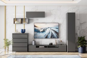 ДЕНВЕР Пенал (Графит серый) в Ишиме - ishim.mebel24.online | фото 4