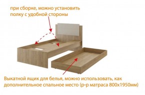 Дуглас подростковая (модульная) в Ишиме - ishim.mebel24.online | фото 5