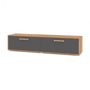 ФЛОРИДА Ф31 Тумба ТВ (дуб золотой/графит) в Ишиме - ishim.mebel24.online | фото