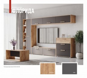 ФЛОРИДА Гостиная (модульная) дуб золотой/графит в Ишиме - ishim.mebel24.online | фото