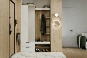 Гарнитур для прихожей Торонто в Ишиме - ishim.mebel24.online | фото 5
