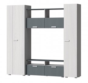 Гостиная Эмми (Анкор светлый/Графит) в Ишиме - ishim.mebel24.online | фото 2