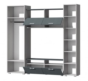 Гостиная Эмми (Анкор светлый/Графит) в Ишиме - ishim.mebel24.online | фото 3