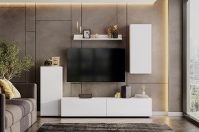 Гостиная МГС 10 (Белый текстурный) в Ишиме - ishim.mebel24.online | фото 1