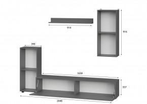 Гостиная МГС 10 (Графит) в Ишиме - ishim.mebel24.online | фото 2