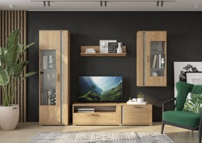 Гостиная Омега (Крафт золотой-Бетон) в Ишиме - ishim.mebel24.online | фото