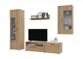 Гостиная Омега (Крафт золотой-Бетон) в Ишиме - ishim.mebel24.online | фото 2