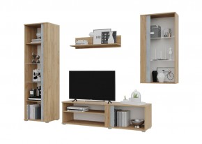 Гостиная Омега (Крафт золотой-Бетон) в Ишиме - ishim.mebel24.online | фото 3